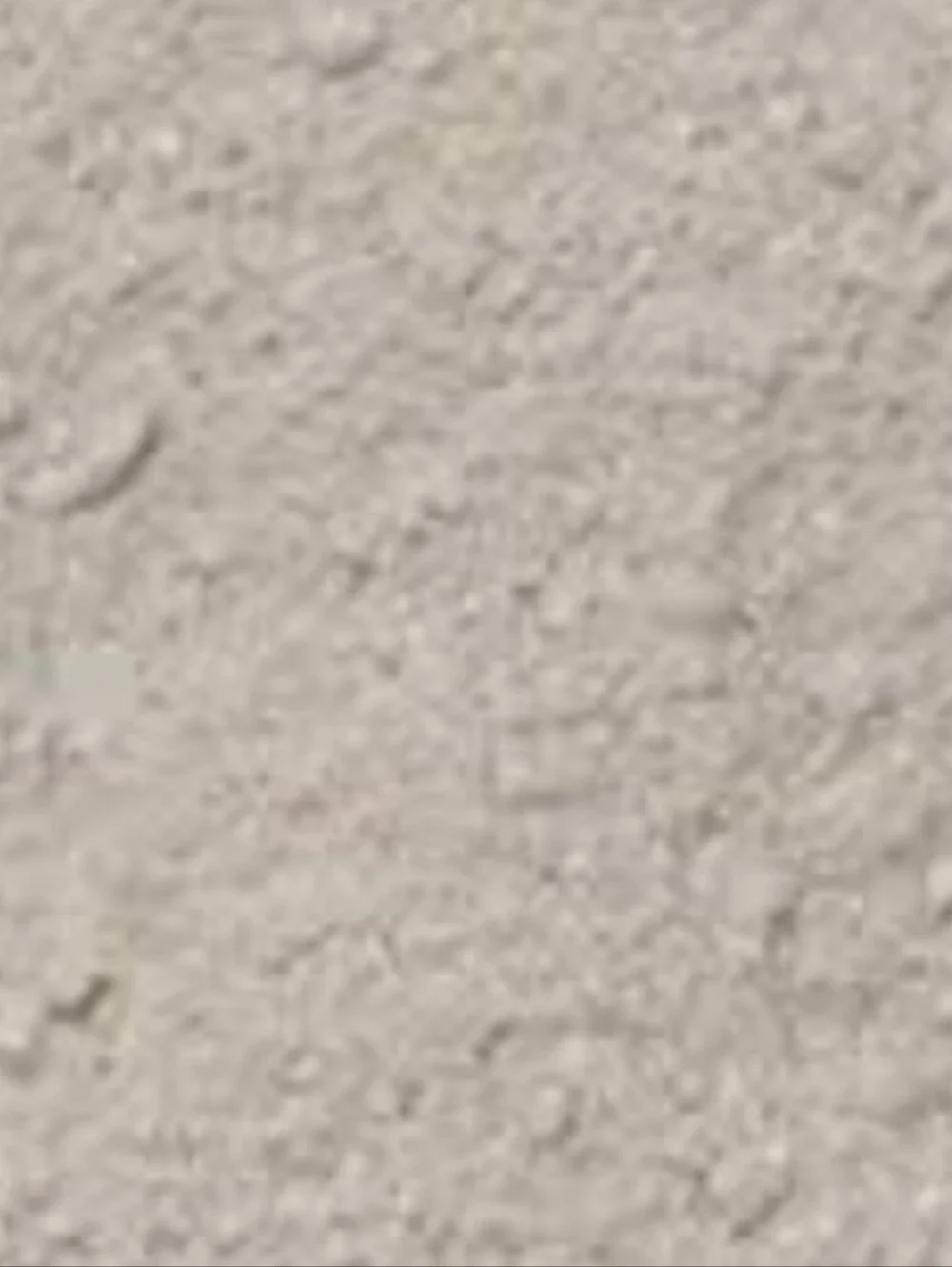 🧚‍♀️EXOTIC PEARL BareMinerals RARE Eyecolor NWT